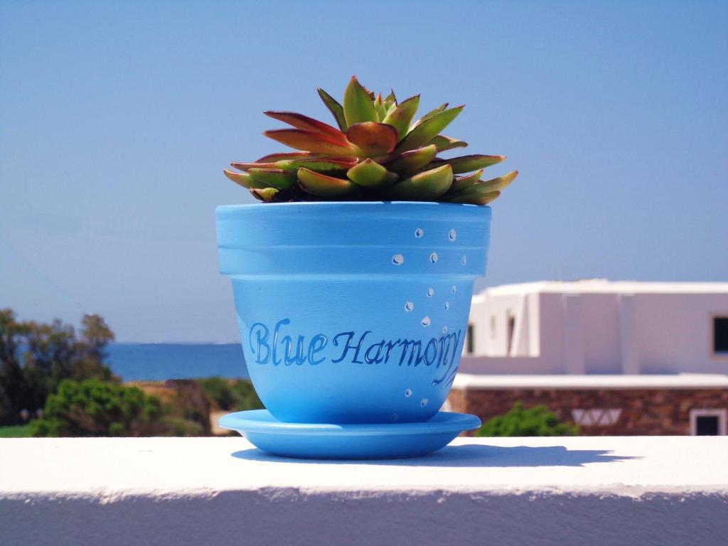Blue Harmony Apartments Pláka Exteriör bild